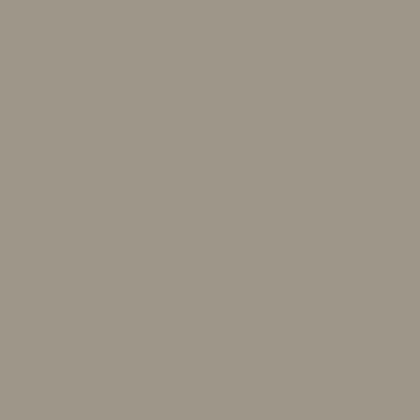 Samplize | Peel-and-Stick Paint Sample - Cole Stone (CW-60) - Benjamin Moore