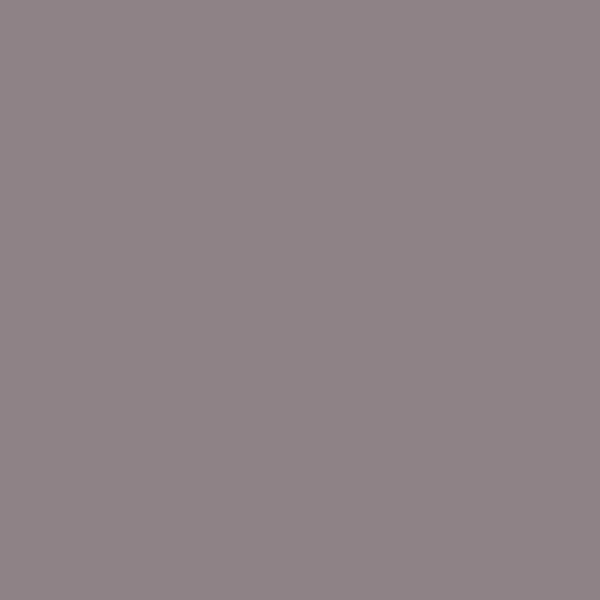 Samplize | Peel-and-Stick Paint Sample - Frozen in Time (1448) - Gray - Benjamin Moore