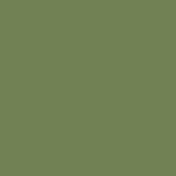 Samplize | Peel-and-Stick Paint Sample - Courtyard Green (546) - Green - Benjamin Moore