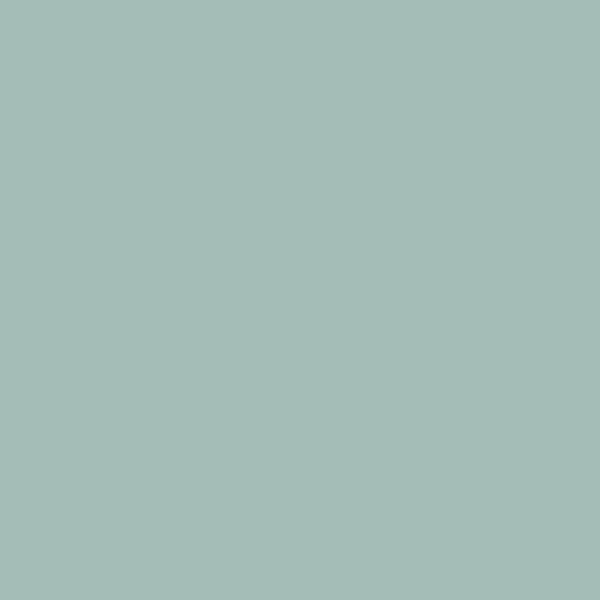 Samplize | Peel-and-Stick Paint Sample - Rhine River (689) - Gray - Benjamin Moore