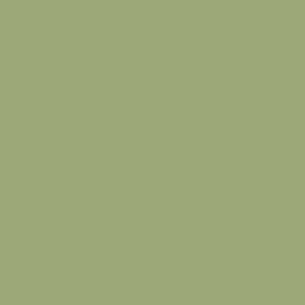 Samplize | Peel-and-Stick Paint Sample - Grenada Green (432) - Green - Benjamin Moore