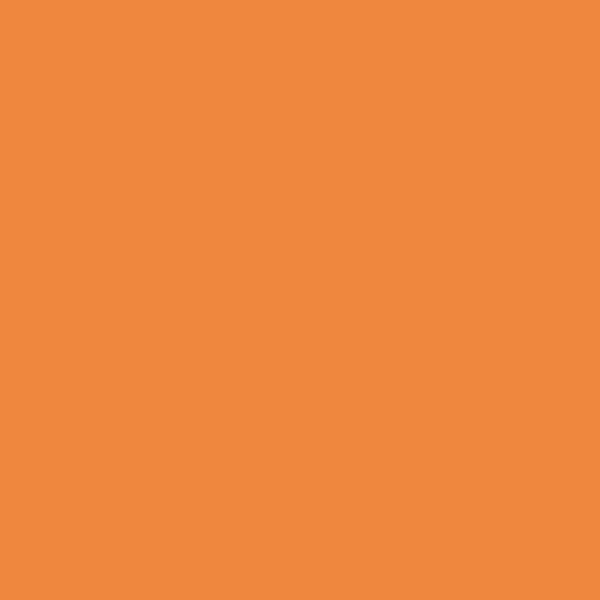 Samplize | Peel-and-Stick Paint Sample - Fruit Punch (140) - Orange - Benjamin Moore