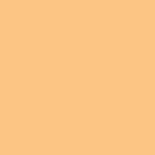 Samplize | Peel-and-Stick Paint Sample - Florida Orange (152) - Orange - Benjamin Moore