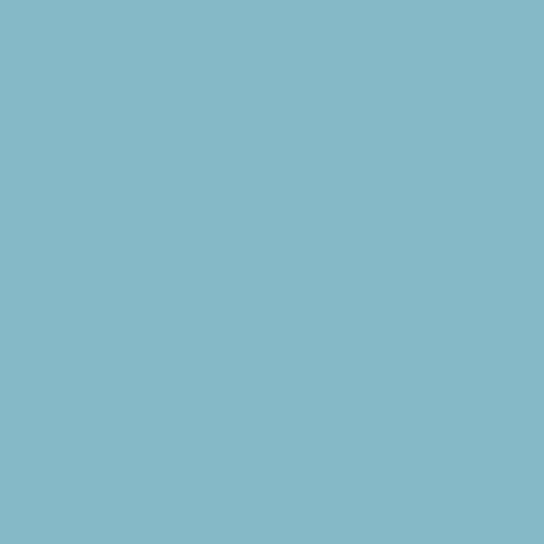 Samplize | Peel-and-Stick Paint Sample - Blue Jean (2062-50) - Blue - Benjamin Moore