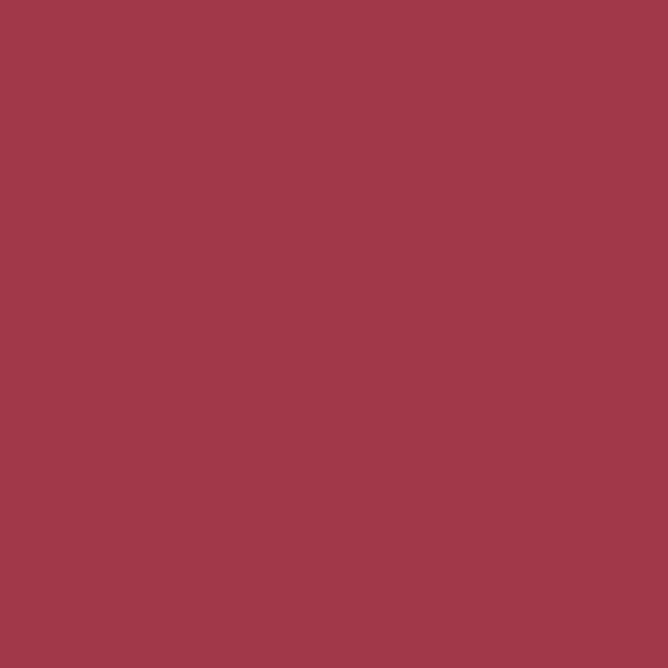 Samplize | Peel-and-Stick Paint Sample - Fuchsine (1343) - Red - Benjamin Moore