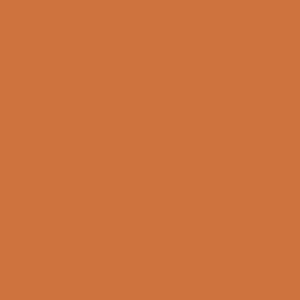 Samplize | Peel-and-Stick Paint Sample - Pumpkin Pie (2167-20) - Orange - Benjamin Moore