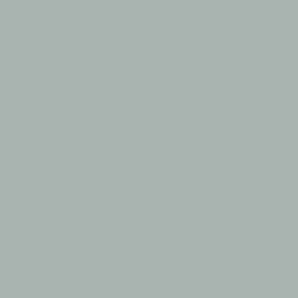 Samplize | Peel-and-Stick Paint Sample - Silver Mink (1586) - Silver - Benjamin Moore