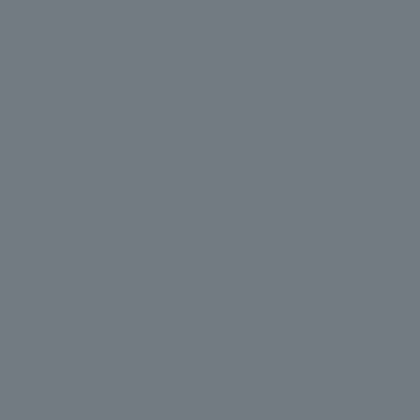 Samplize | Peel-and-Stick Paint Sample - Silver Streak (2119-40) - Silver - Benjamin Moore