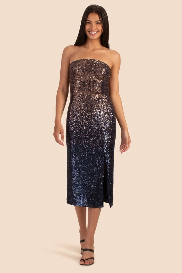 Trina Turk Stella Dress / Moonstone/Midnight