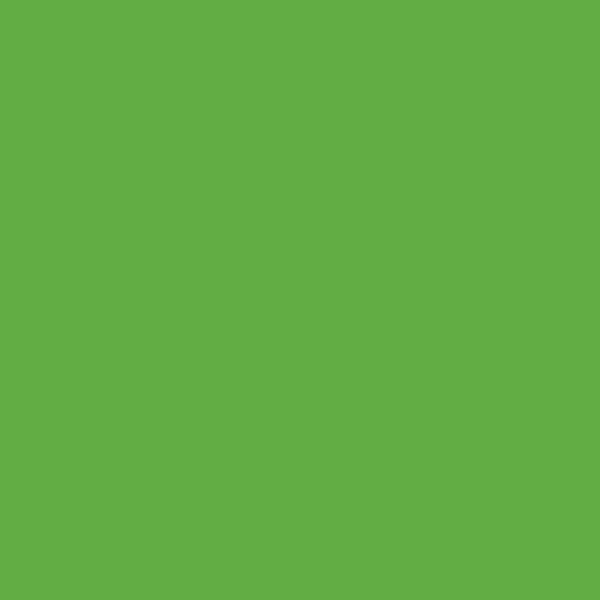 Samplize | Peel-and-Stick Paint Sample - Fresh Lime (2032-30) - Green - Benjamin Moore