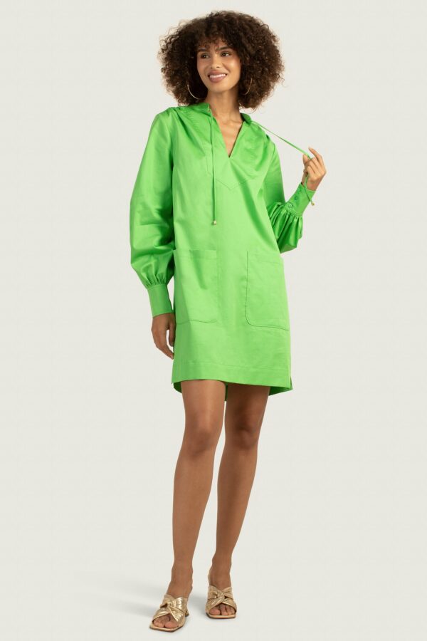 Trina Turk Blush Dress / Vert