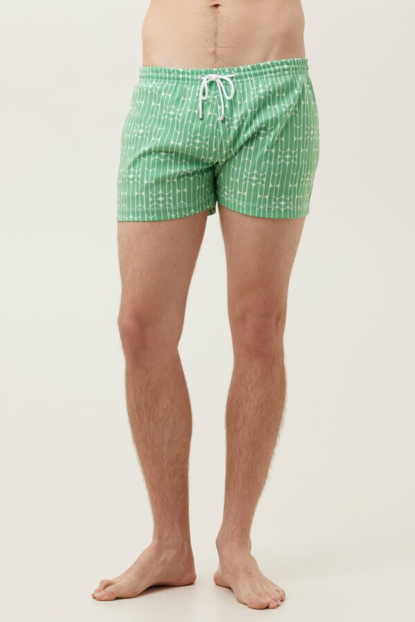 Mr Turk Oceanside Swim Trunk / Vert