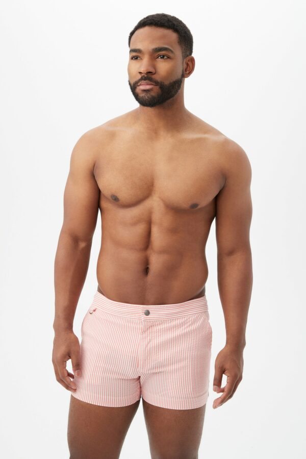 Mr Turk Chico Swim Trunk / Slushie