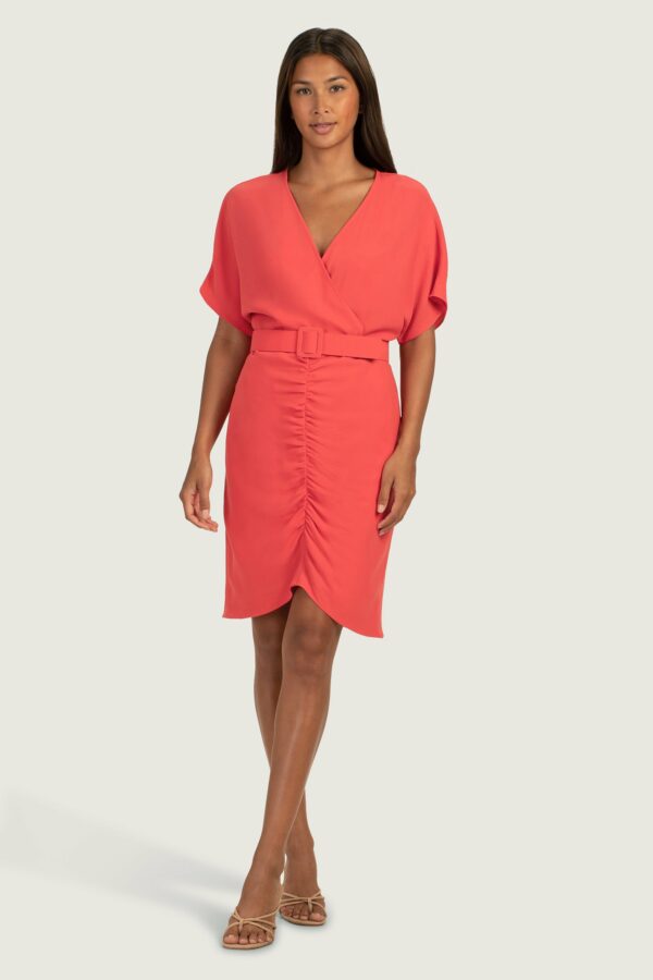 Trina Turk Zest Dress / Slushie