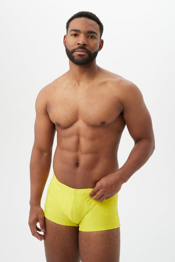 Mr Turk Montego Bay Swim Trunk / Lemongrass