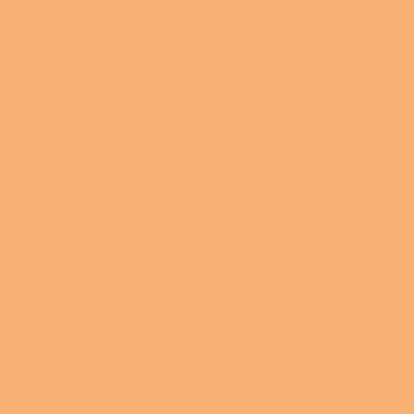 Samplize | Peel-and-Stick Paint Sample - Peach Sorbet (2015-40) - Orange - Benjamin Moore