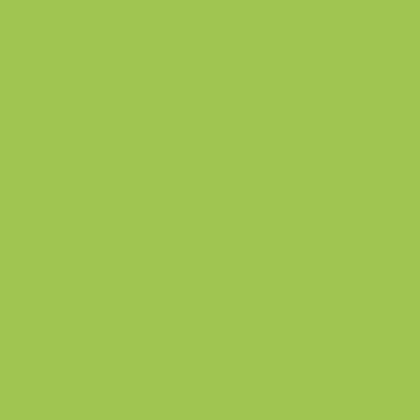 Samplize | Peel-and-Stick Paint Sample - Malachy Green (419) - Green - Benjamin Moore