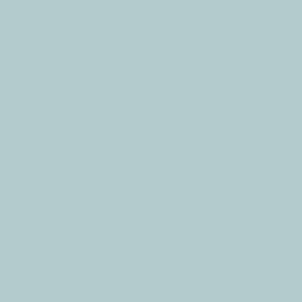 Samplize | Peel-and-Stick Paint Sample - Blue Porcelain (1641) - Blue - Benjamin Moore