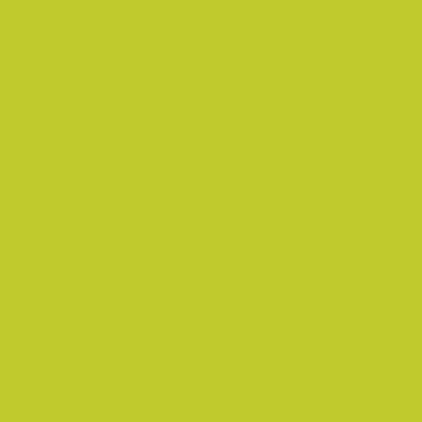 Samplize | Peel-and-Stick Paint Sample - Snow Cone Green (2026-30) - Green - Benjamin Moore