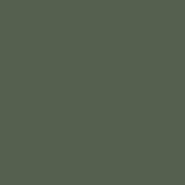 Samplize | Peel-and-Stick Paint Sample - Boreal Forest (AF-480) - Benjamin Moore