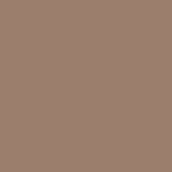 Samplize | Peel-and-Stick Paint Sample - Firewood (1027) - Brown - Benjamin Moore