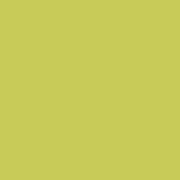 Samplize | Peel-and-Stick Paint Sample - Electric Slide (404) - Yellow - Benjamin Moore