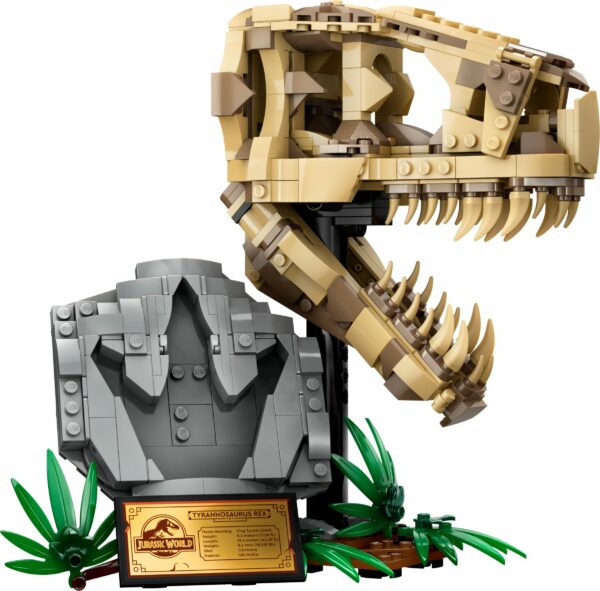 Lego | Dinosaur Fossils: T. rex Skull