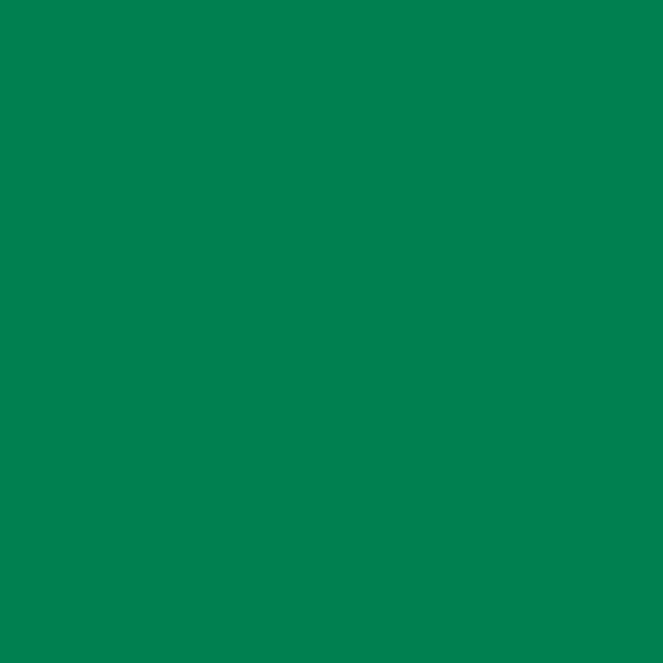 Samplize | Peel-and-Stick Paint Sample - Emerald Isle (2039-20) - Green - Benjamin Moore