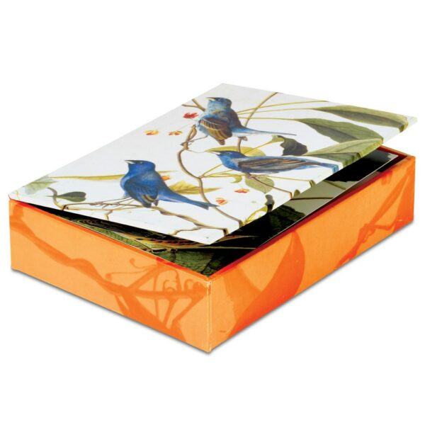 The MET | Audubon Birds Notecards