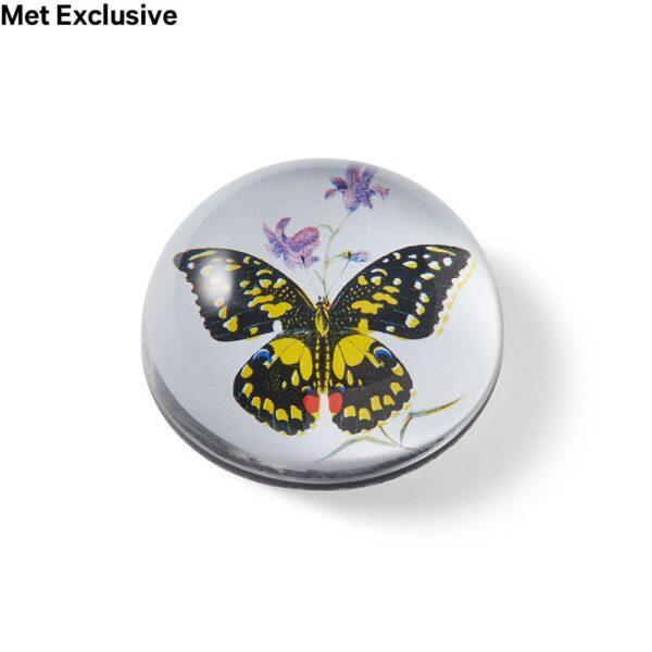 The MET | John Derian Papilio Erithonius Butterfly Decoupage Domed Paperweight