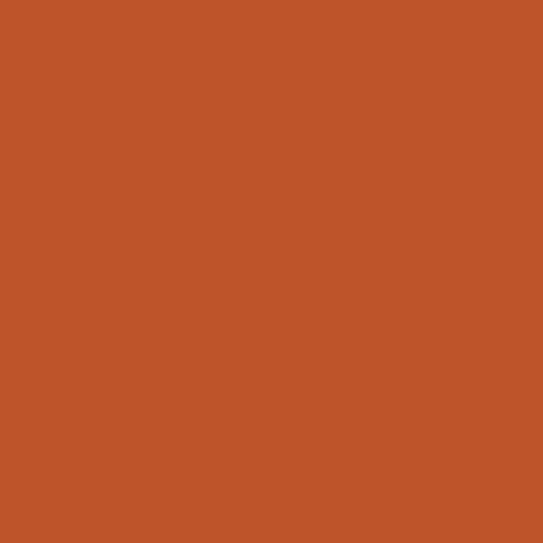 Samplize | Peel-and-Stick Paint Sample - Fireball Orange (2170-10) - Orange - Benjamin Moore