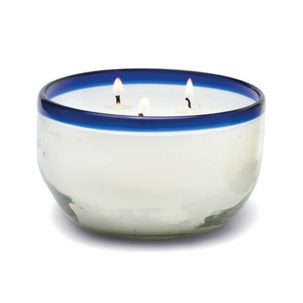 Paddywax | La Playa 14 oz Candle - Salted Blue Agave