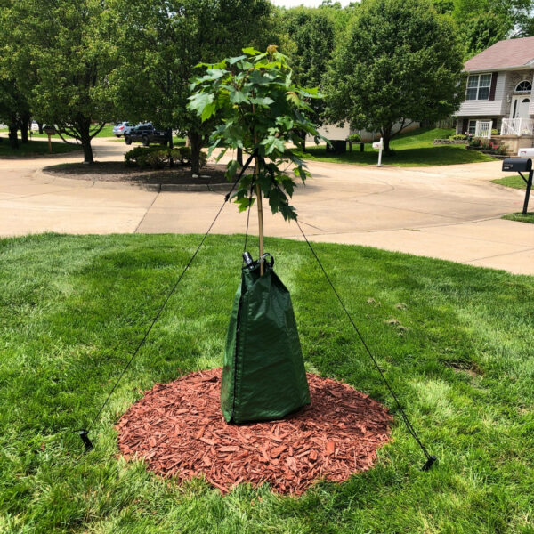 Garden Goods Direct | DeWitt Dew Right Tree Watering Bag