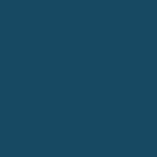 Samplize | Peel-and-Stick Paint Sample - Downpour Blue (2063-20) - Blue - Benjamin Moore