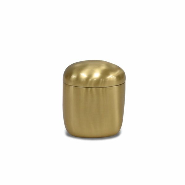 Tina Frey | Lidded Box in Brushed Brass