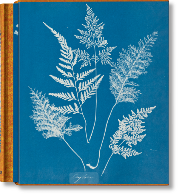 TASCHEN | Anna Atkins. Cyanotypes