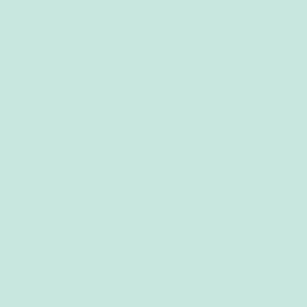 Samplize | Peel-and-Stick Paint Sample - Soft Mint (2041-60) - White - Benjamin Moore