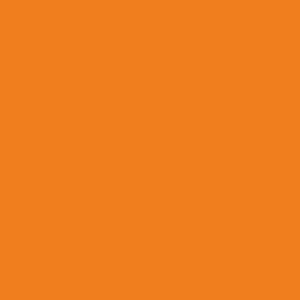 Samplize | Peel-and-Stick Paint Sample - Citrus Orange (2016-20) - Orange - Benjamin Moore