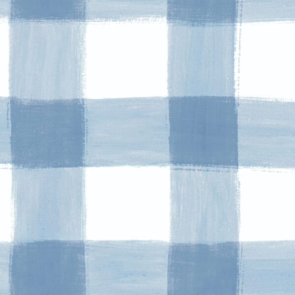 The Inside | Chambray Painted Check