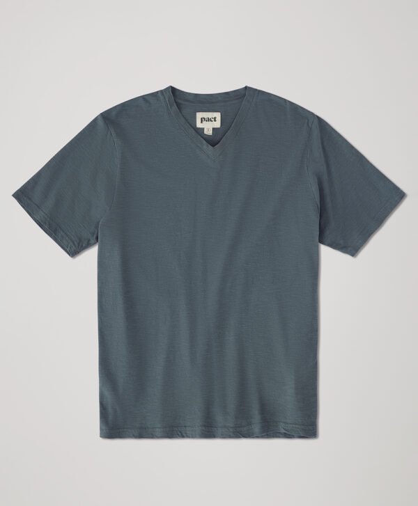 PACT Apparel | Men's Ore Featherweight Slub V-Ne Tee L