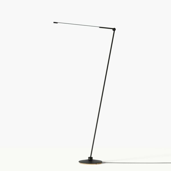 Juniper Design | THIN F Floor Lamp - Black Oxide