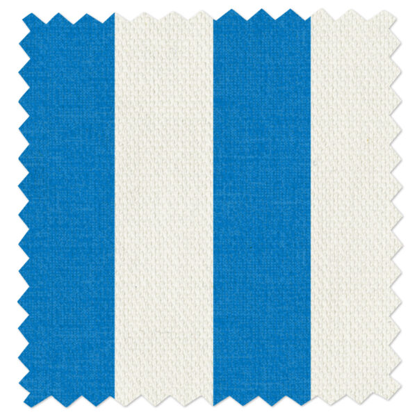 The Inside | Cerulean Cabana Stripe